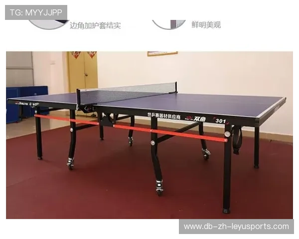 乒乓球台选购指南：2026年家用室内球台推荐，家庭用乒乓球台买什么样的